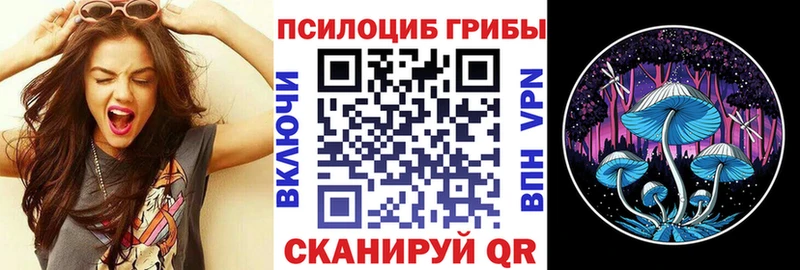 купить наркотик  Себеж  Псилоцибиновые грибы GOLDEN TEACHER 